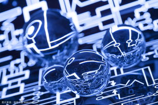 上海市網絡文化經營許可證辦理全流程指南