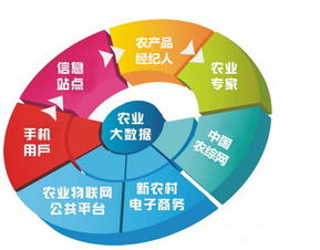 農業市場雖難做，網絡技術賦能，鄉村也能出富豪